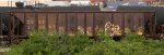 CSXT 350667